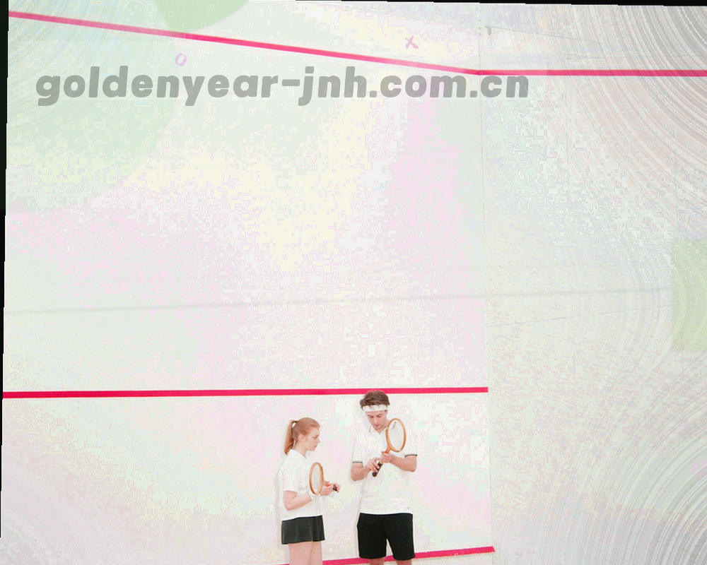 以网格点阵表示十二个骨干节点及访问覆盖范围的抽象示意图